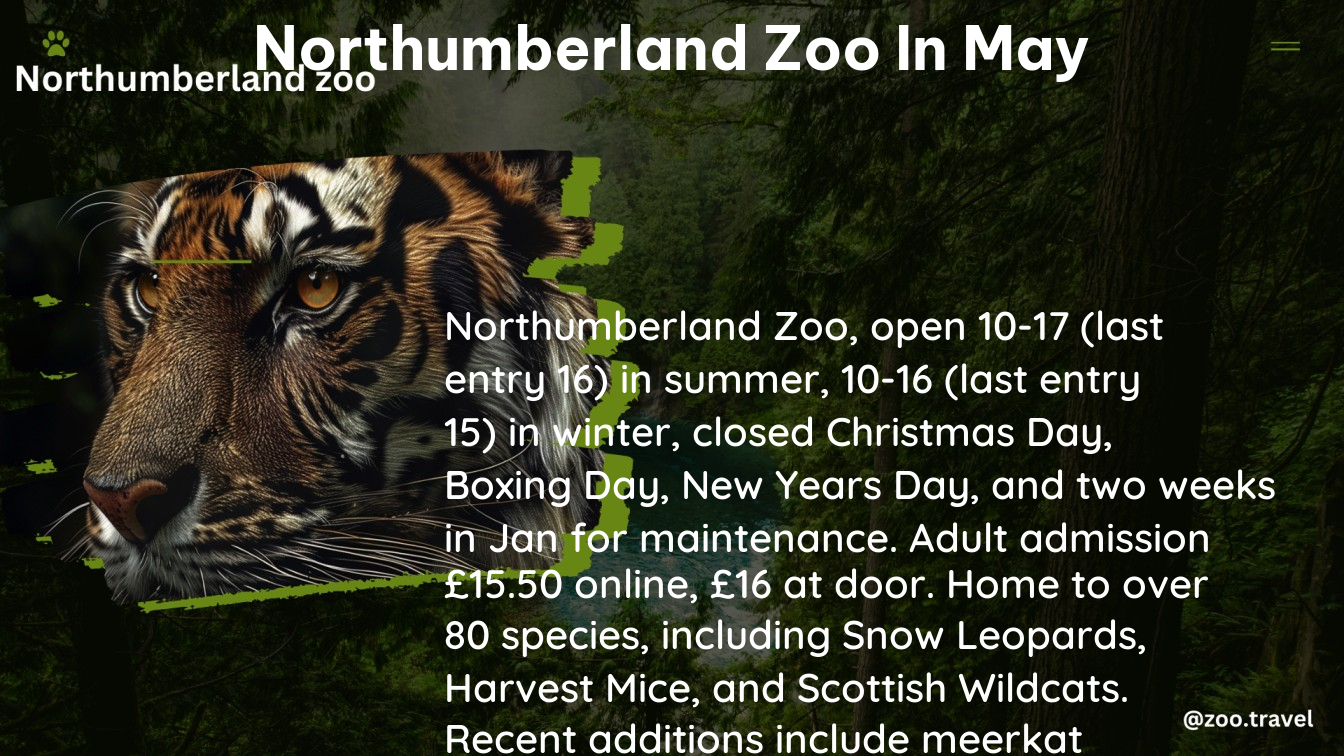 northumberland zoo in May