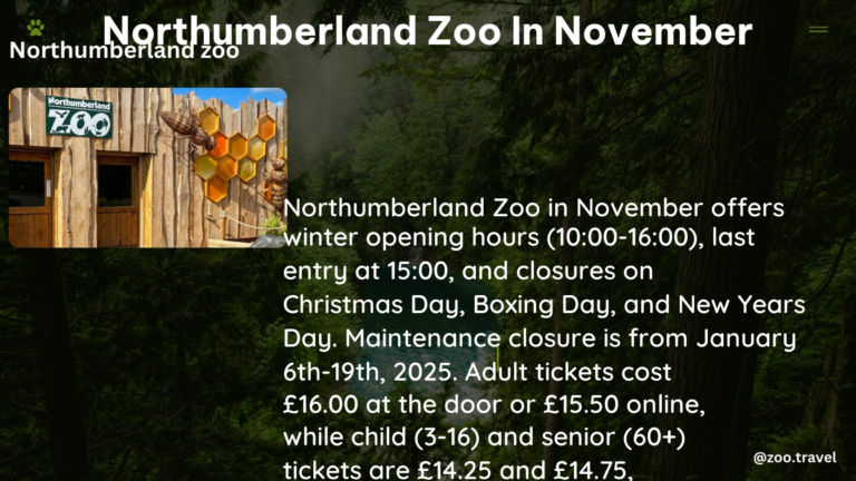 northumberland zoo in November