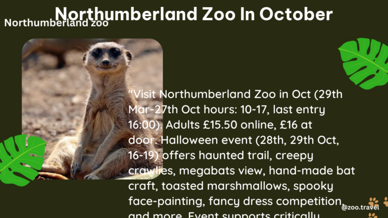 northumberland zoo in October