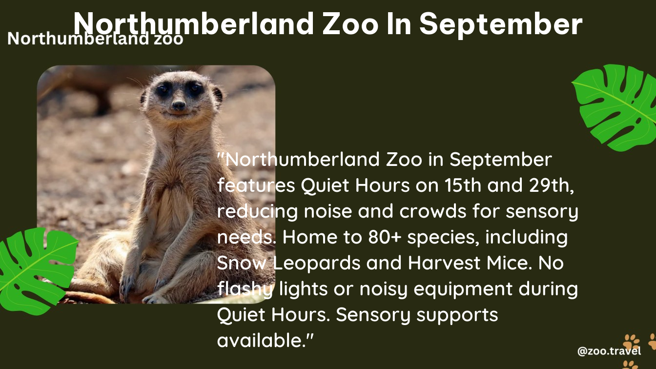 northumberland zoo in September