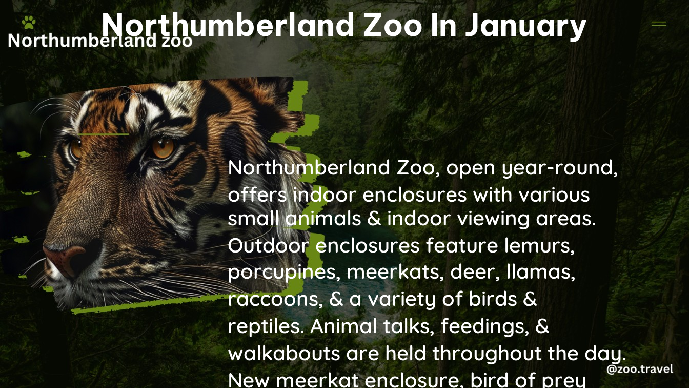 northumberland zoo in january