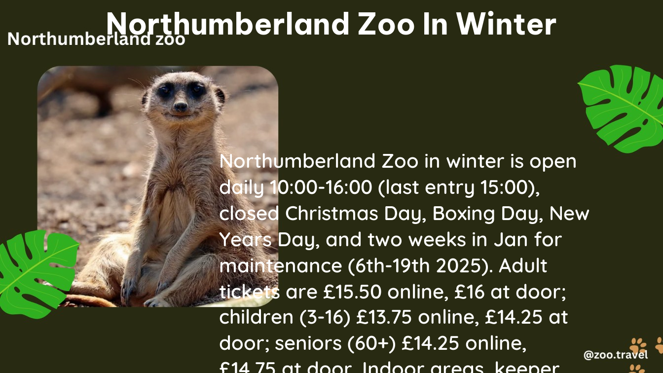 northumberland zoo in winter