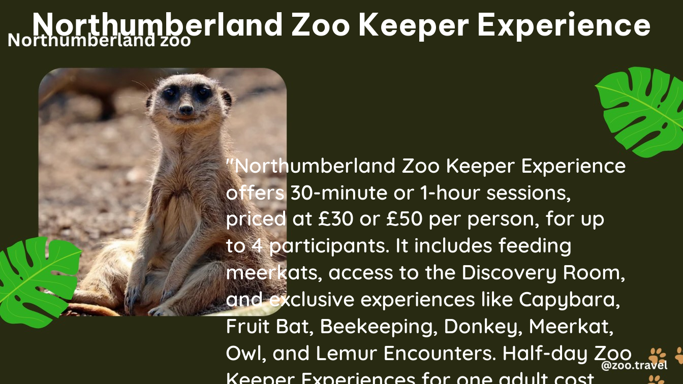 northumberland zoo keeper experience