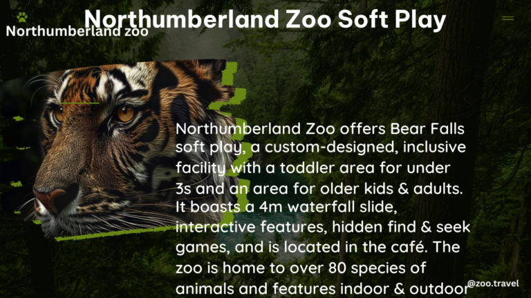 northumberland zoo soft play