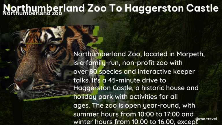 northumberland zoo to haggerston castle 1