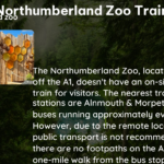 northumberland zoo train