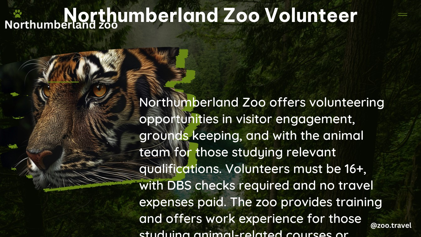 northumberland zoo volunteer