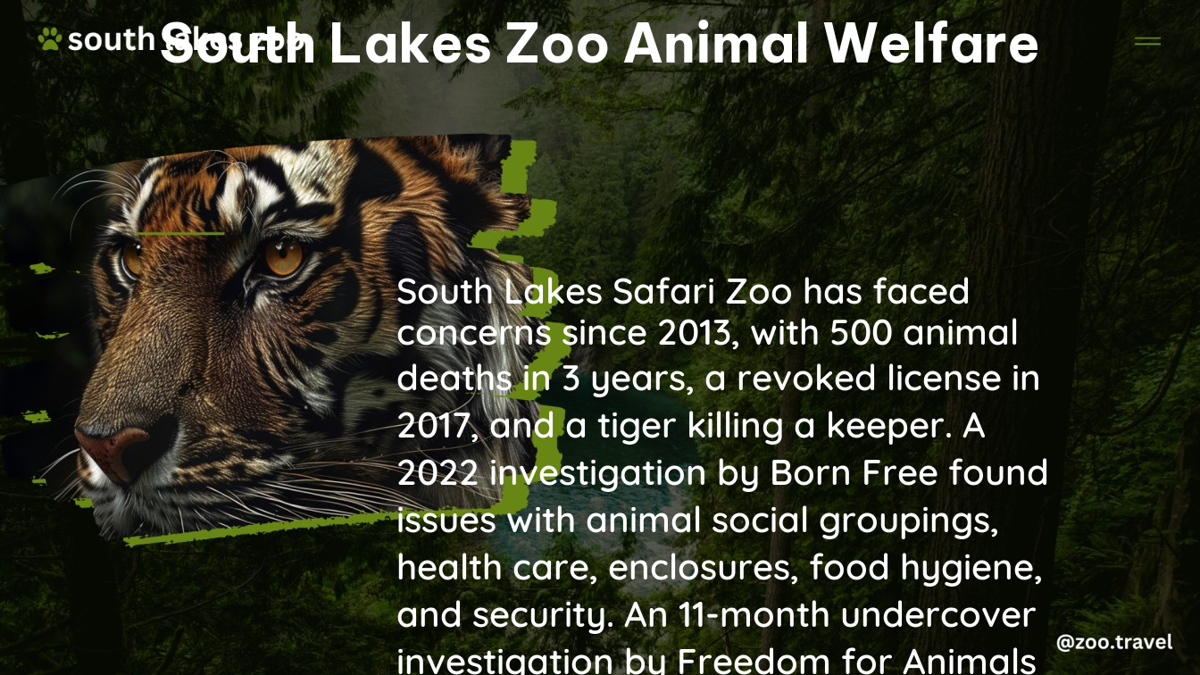 south lakes zoo animal welfare