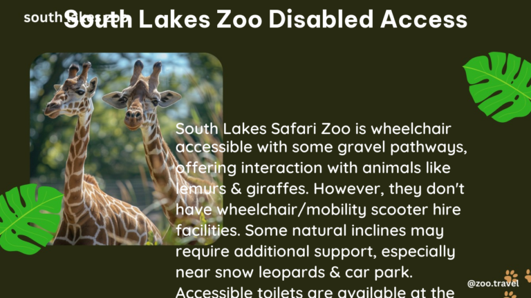 south lakes zoo disabled access