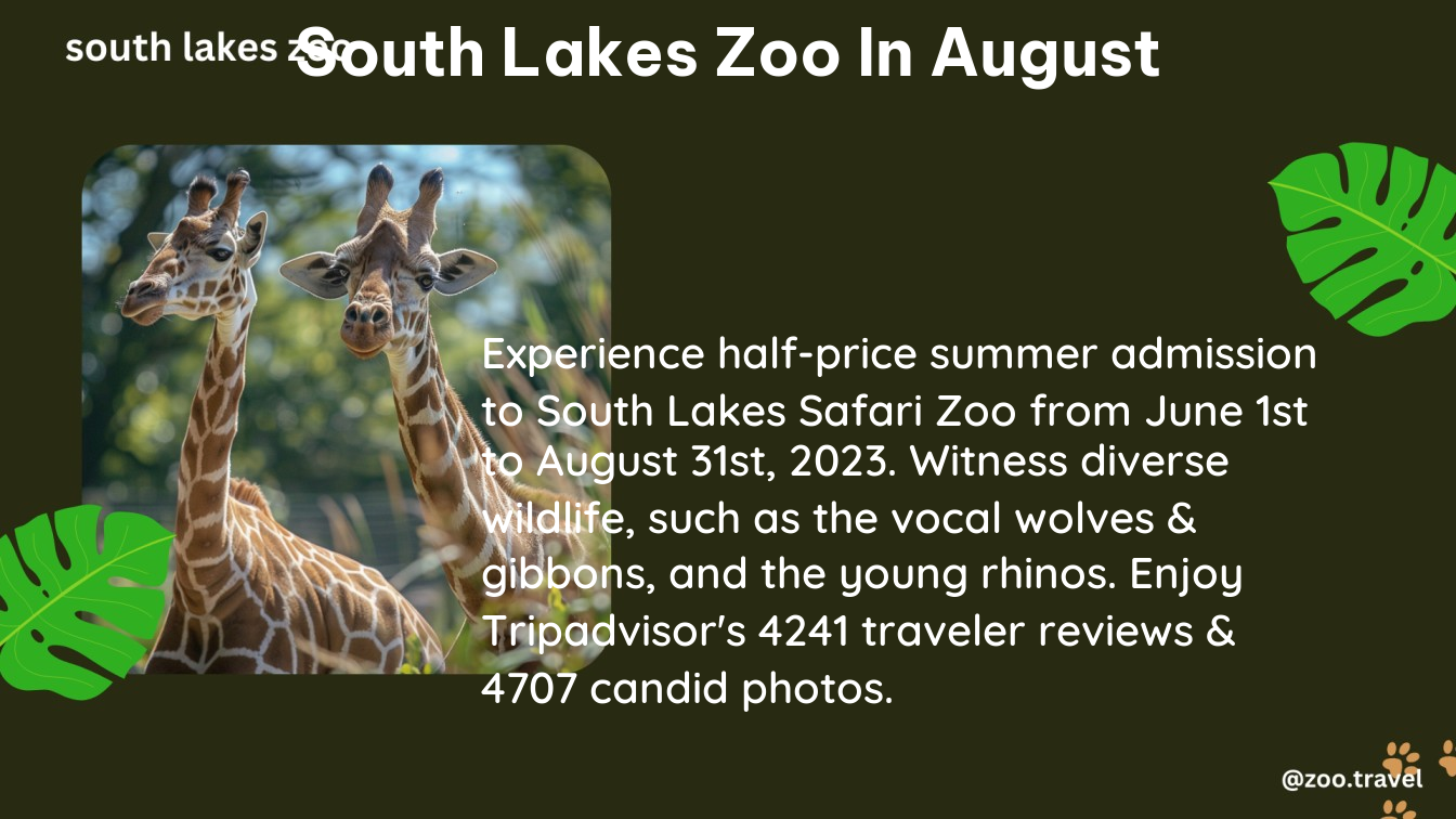 south lakes zoo in August