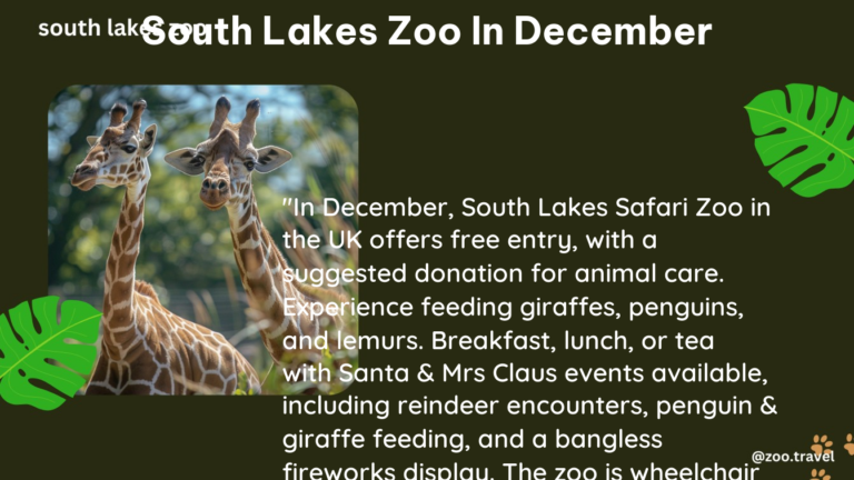 south lakes zoo in December