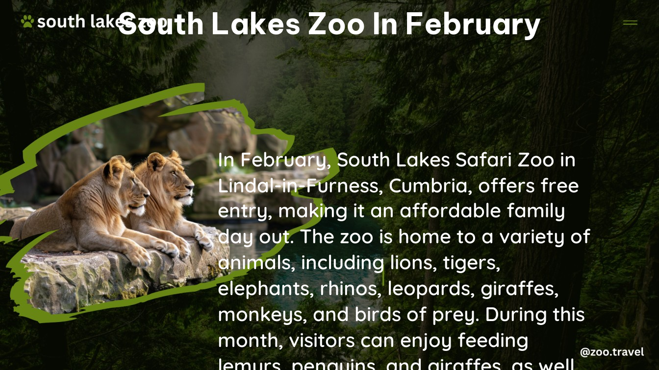 south lakes zoo in February