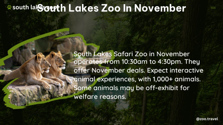 south lakes zoo in November