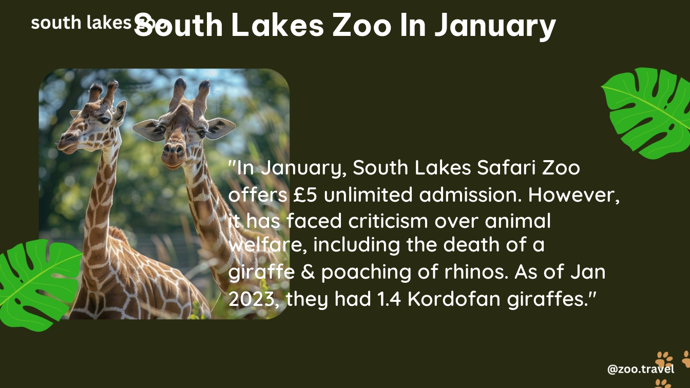 south lakes zoo in january