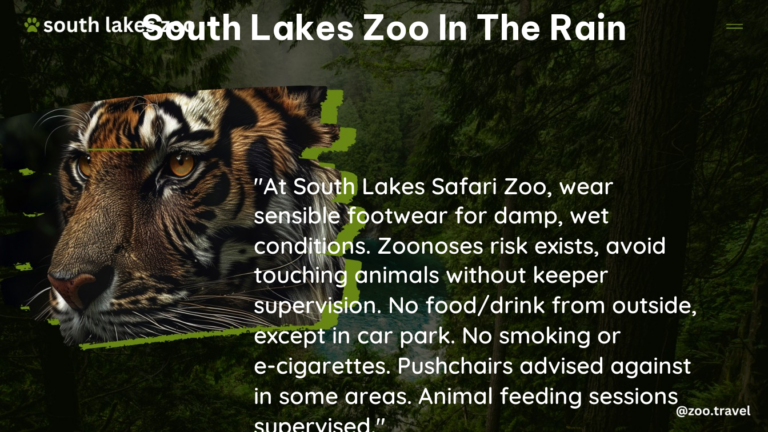 south lakes zoo in the rain