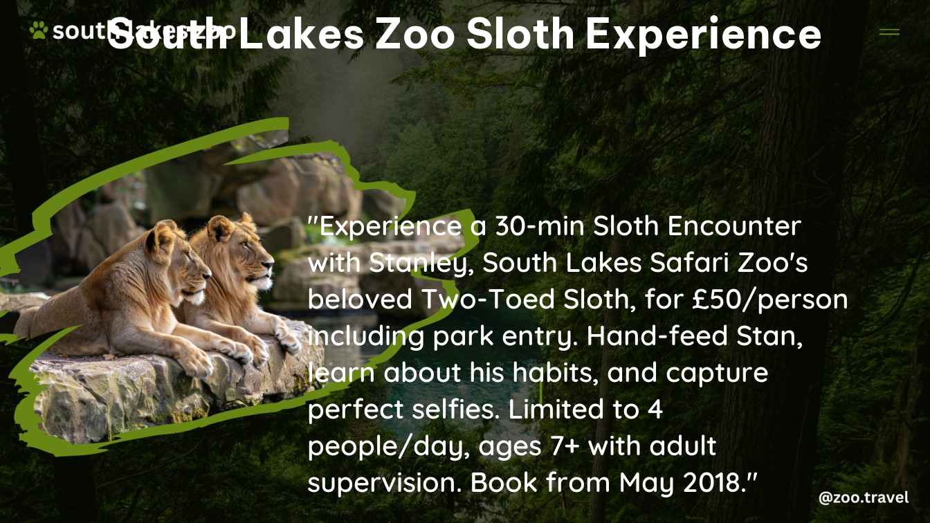 south lakes zoo sloth experience