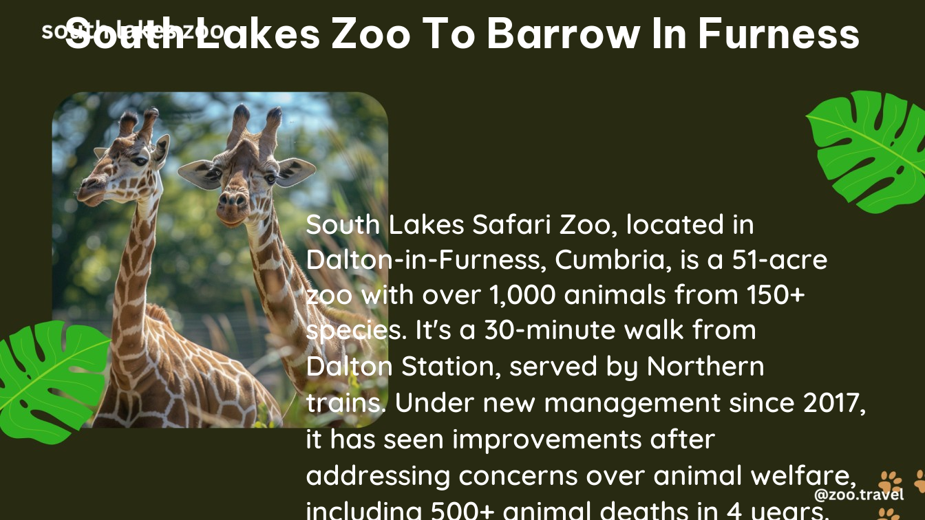 south lakes zoo to barrow in furness