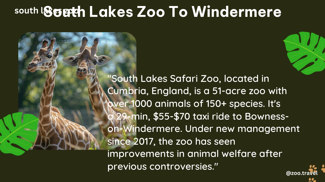 south lakes zoo to windermere