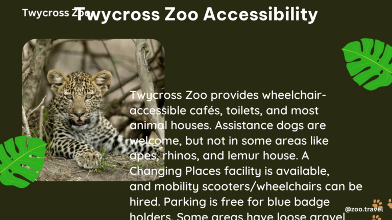 twycross zoo accessibility
