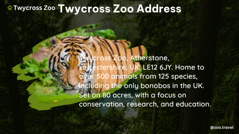 twycross zoo address