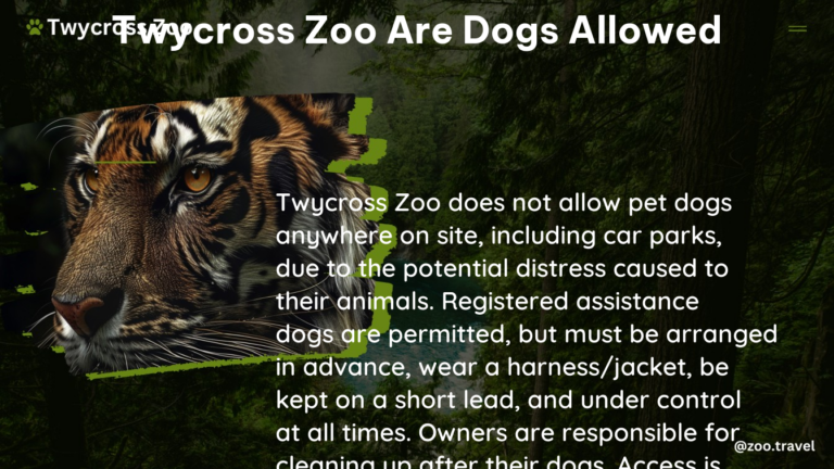 twycross zoo are dogs allowed