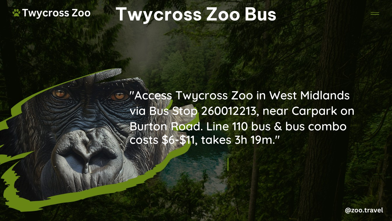 twycross zoo bus