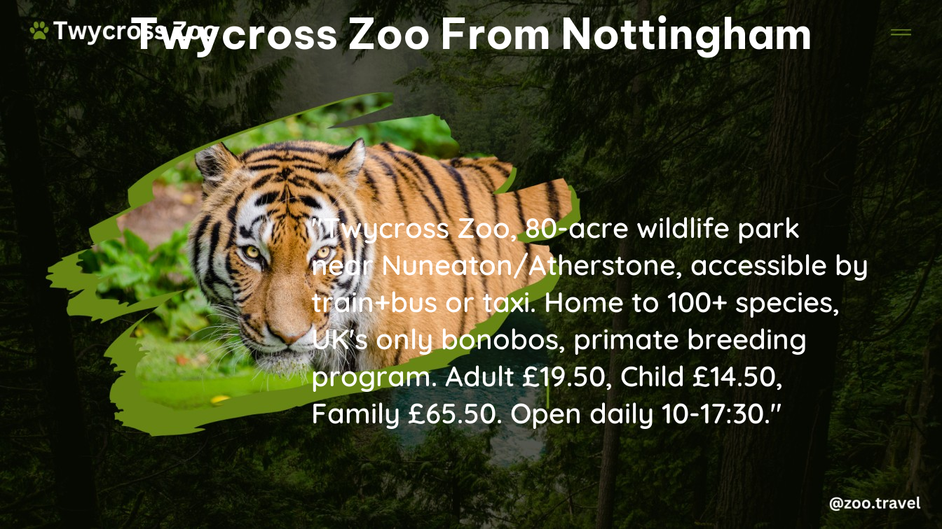 twycross zoo from nottingham