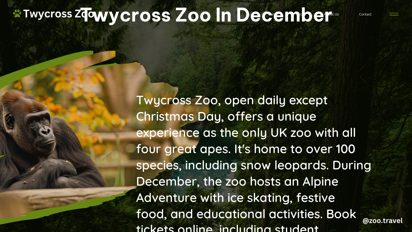 twycross zoo in December