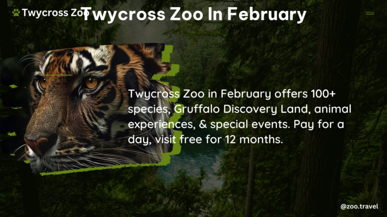 twycross zoo in February