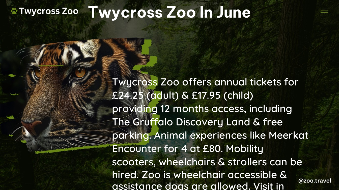 twycross zoo in June