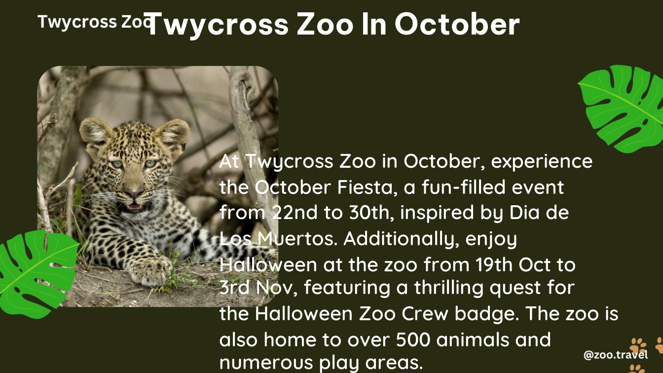 twycross zoo in October