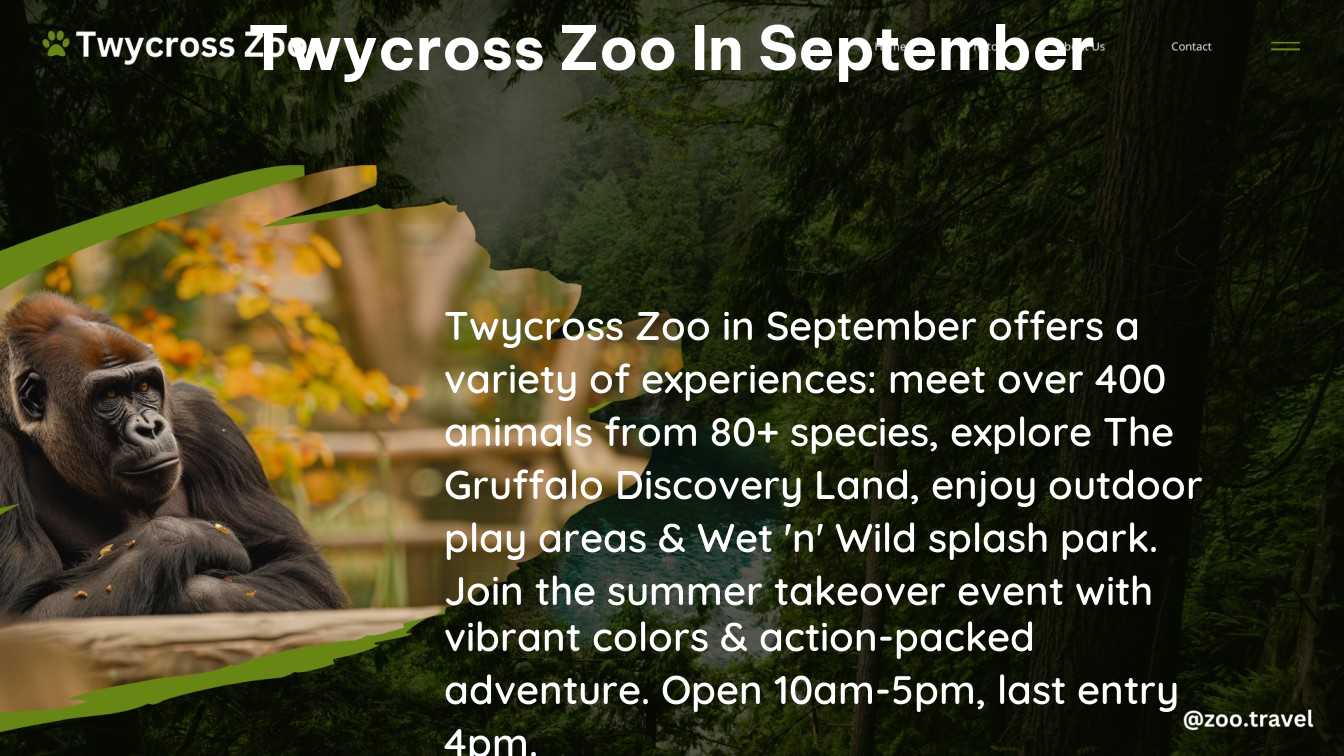 twycross zoo in September