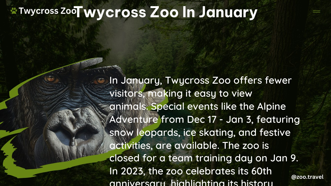 twycross zoo in january