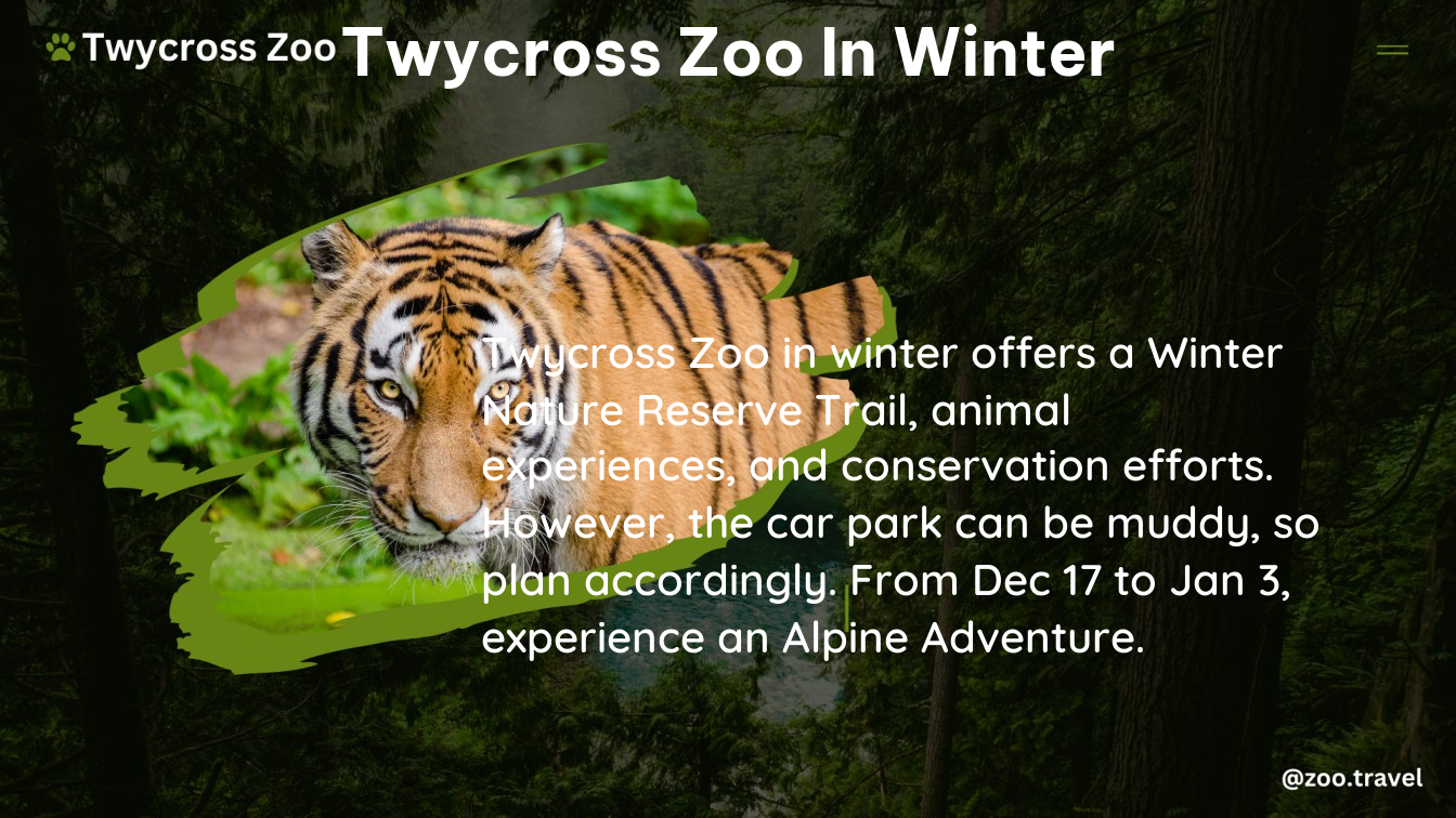 twycross zoo in winter