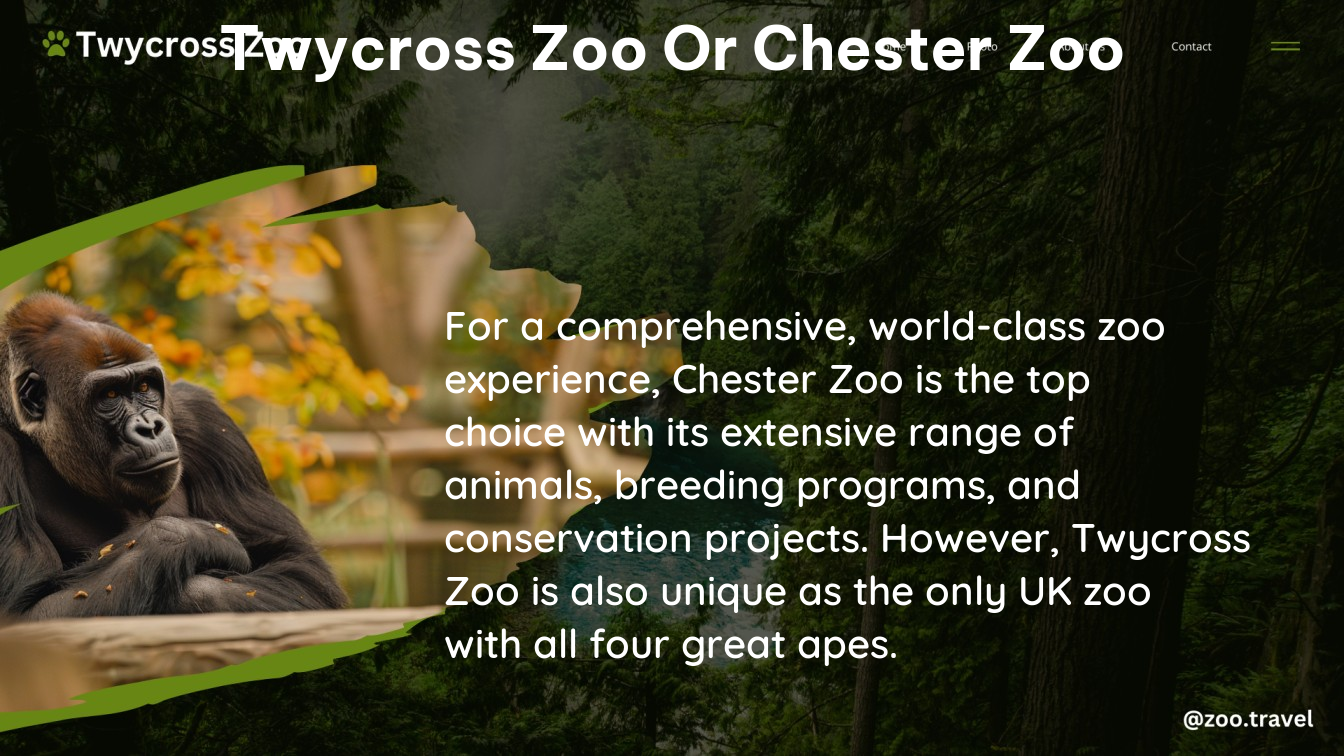 twycross zoo or chester zoo