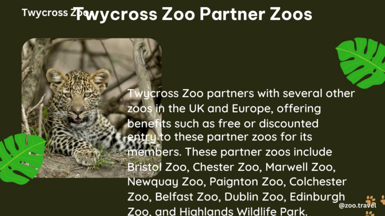 twycross zoo partner zoos