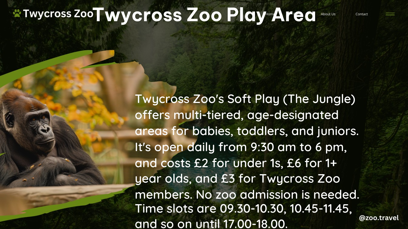 twycross zoo play area