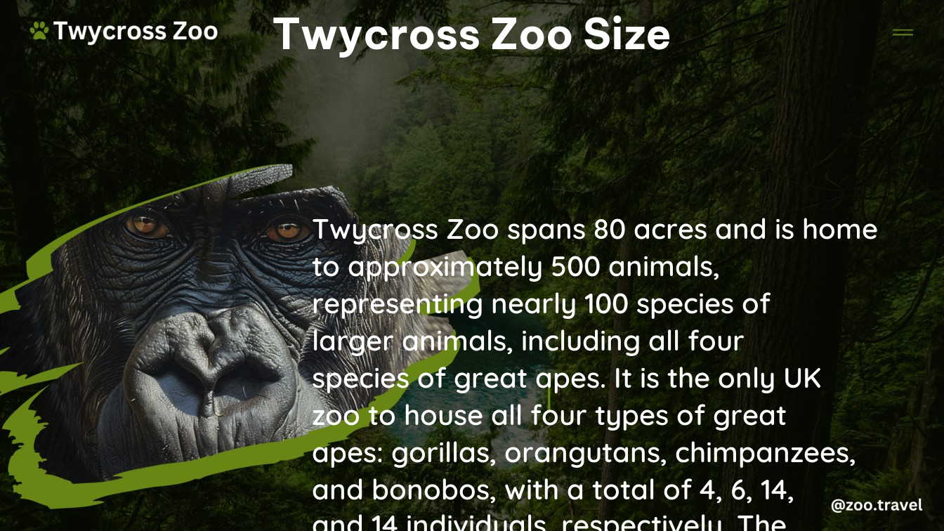 twycross zoo size