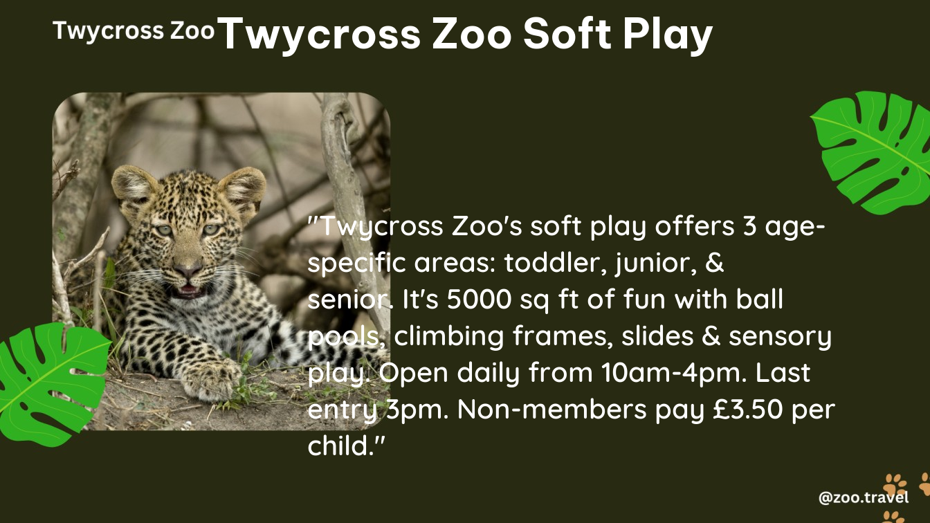 twycross zoo soft play