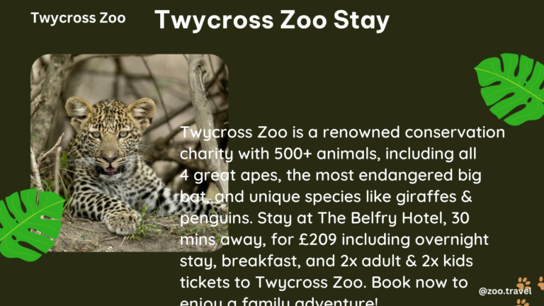 twycross zoo stay