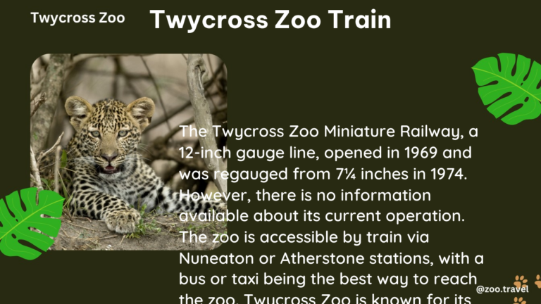 twycross zoo train