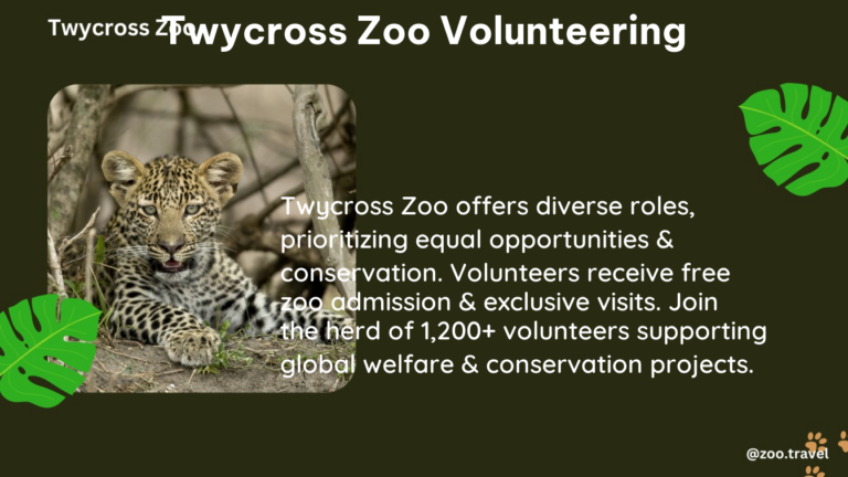 twycross zoo volunteering