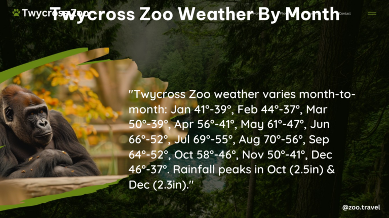 twycross zoo weather by month