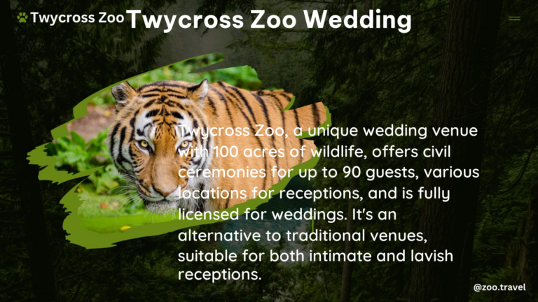 twycross zoo wedding