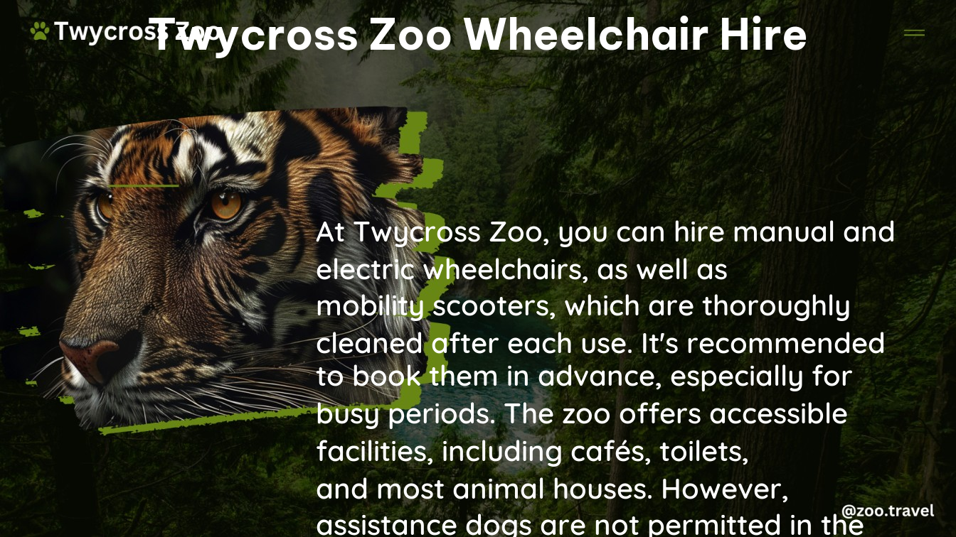 twycross zoo wheelchair hire