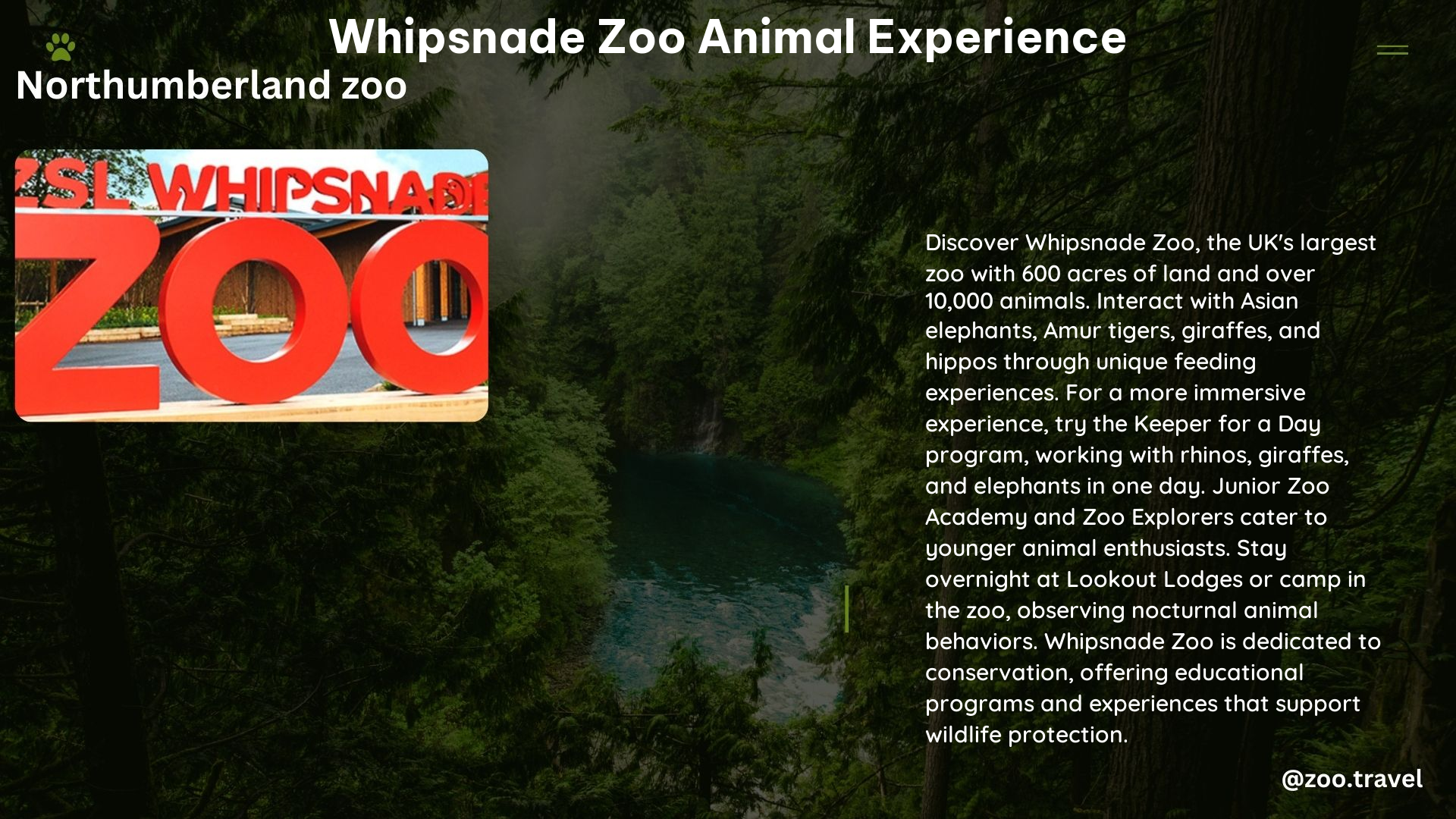 whipsnade zoo animal experience