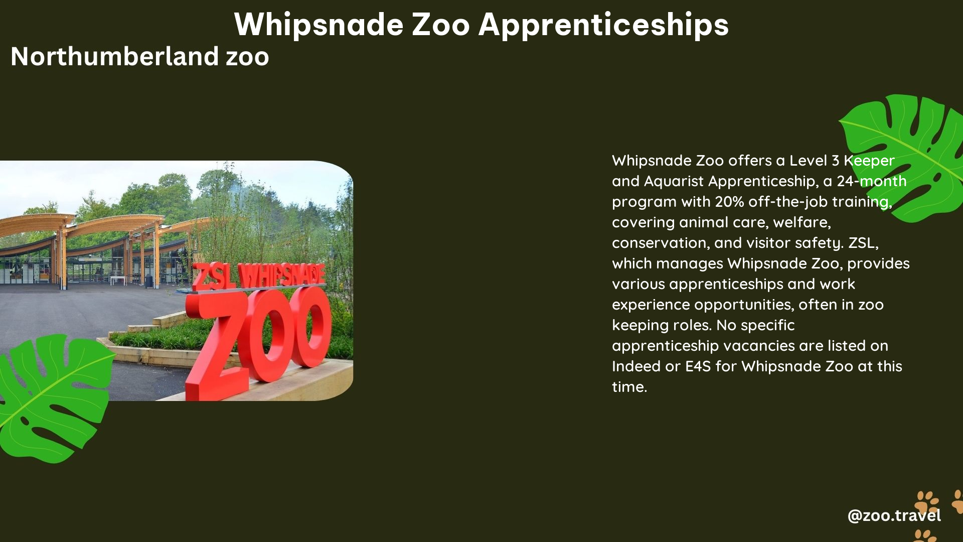 whipsnade zoo apprenticeships