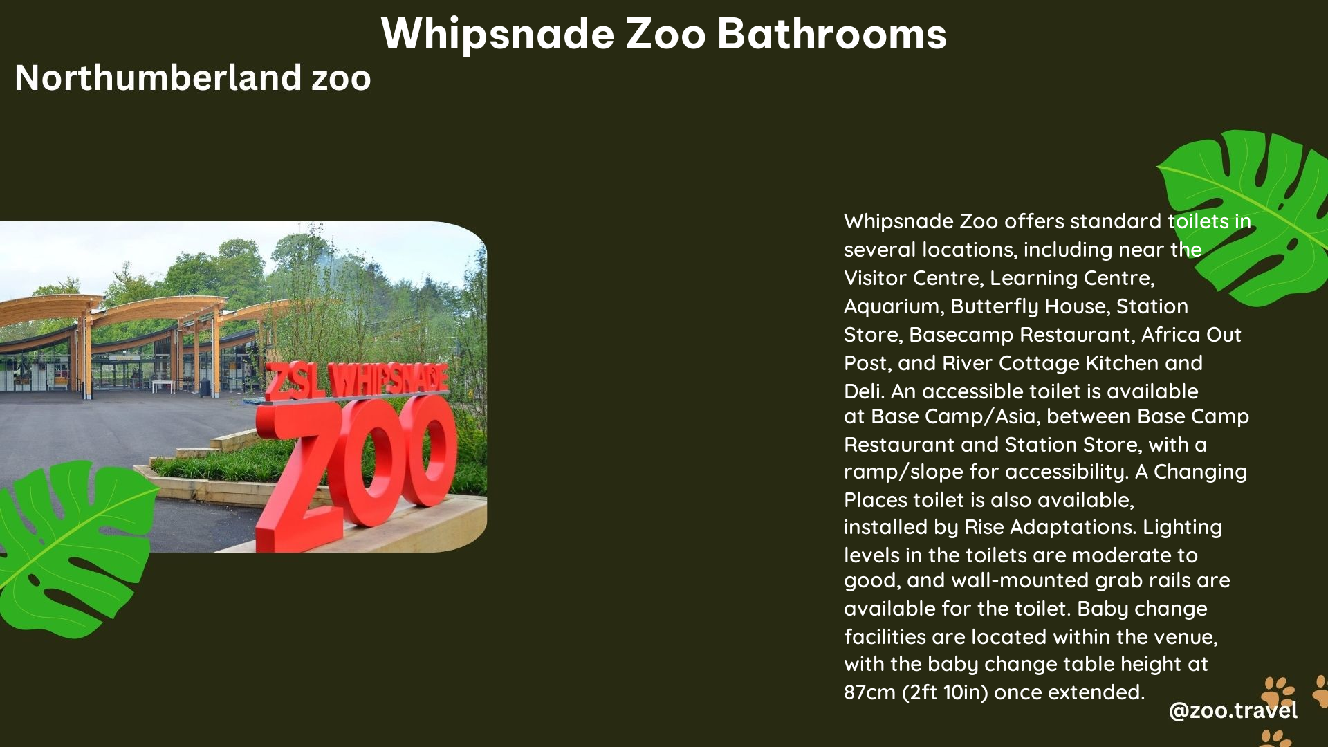 Whipsnade Zoo Bathrooms: 5 Stunning Facilities That Impress – zoo.travel