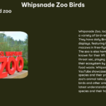 whipsnade zoo birds