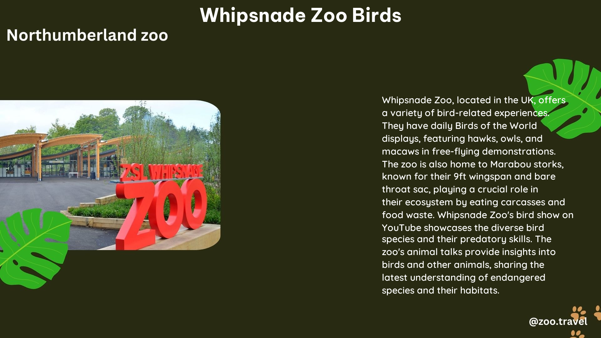 whipsnade zoo birds